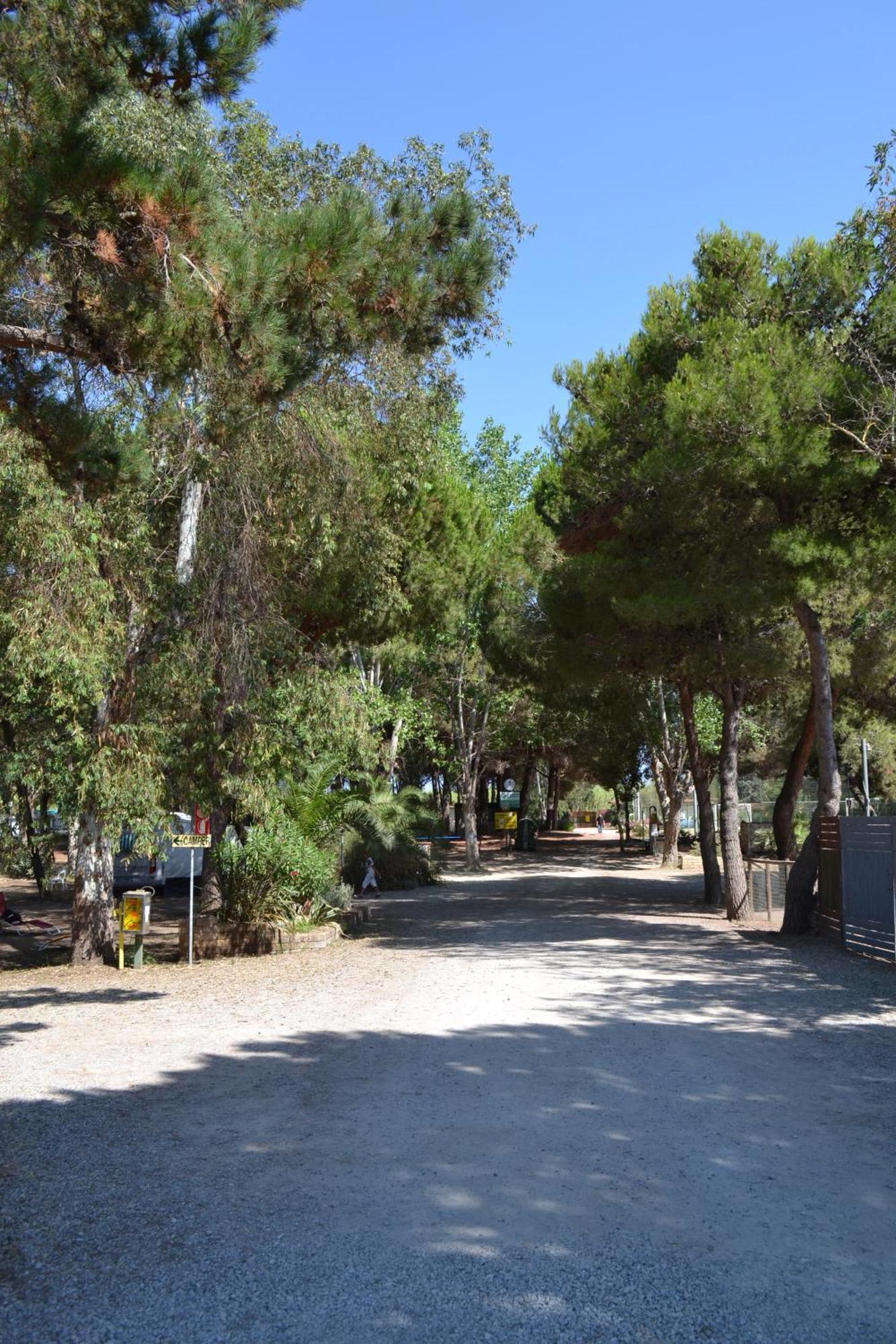 Giannella Camping Orbetello Bagian luar foto